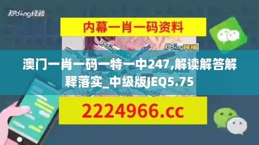 澳門(mén)一肖一碼一特一中247,解讀解答解釋落實(shí)_中級(jí)版JEQ5.75