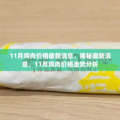 揭秘最新消息，11月雞肉價格走勢分析與預(yù)測