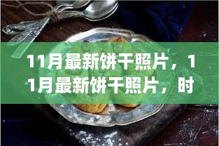 時尚與傳統(tǒng)交融的餅干美學，11月最新餅干照片探析