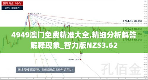 4949澳門(mén)免費(fèi)精準(zhǔn)大全,精細(xì)分析解答解釋現(xiàn)象_智力版NZS3.62