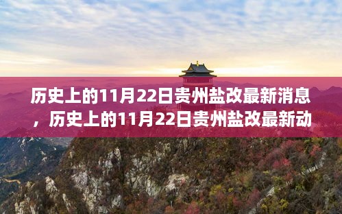 揭秘貴州鹽改最新動態(tài)，歷史上的11月22日最新消息揭秘