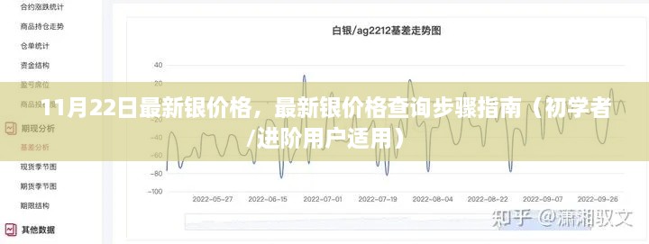 最新銀價(jià)格查詢指南，步驟詳解，適用于初學(xué)者與進(jìn)階用戶（11月22日更新）