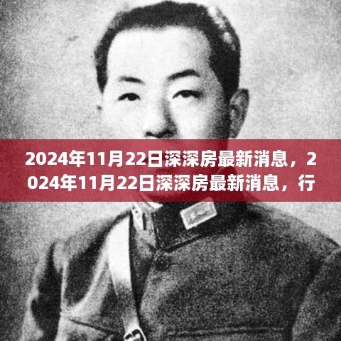 2024年11月22日深深房最新消息，行業(yè)深度解讀與個(gè)人見(jiàn)解