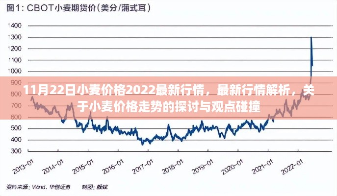 最新小麥行情解析，價格走勢探討與觀點碰撞