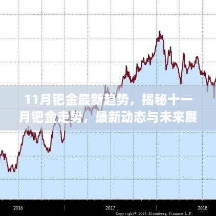 揭秘鈀金走勢，最新動態(tài)與未來展望（十一月版）