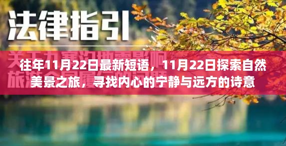 11月22日，自然美景之旅，探尋內(nèi)心的寧?kù)o與詩(shī)意遠(yuǎn)方