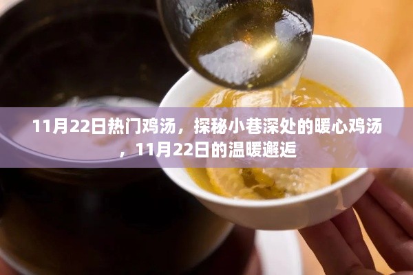 探秘小巷深處的暖心雞湯，11月22日的溫暖邂逅之旅