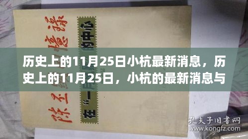 歷史上的11月25日，小杭的最新消息與深遠影響揭秘