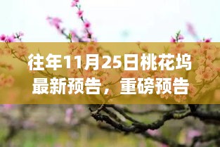 往年11月25日桃花塢全新篇章重磅預告即將綻放