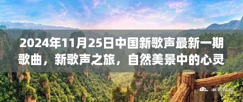 心靈和弦的共鳴，2024年11月25日中國新歌聲之旅的自然美景啟示