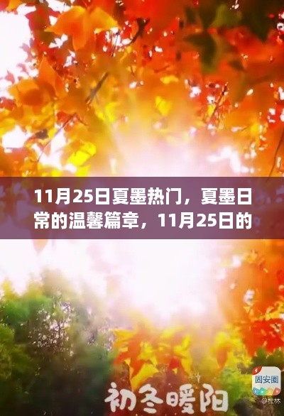 夏墨日常，11月25日的暖陽時光與溫馨篇章