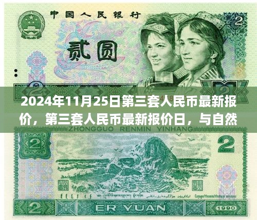 第三套人民幣最新報價與邂逅自然美景之旅，2024年11月25日行情概覽