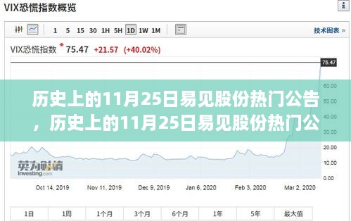 歷史上的11月25日易見股份熱門公告揭秘，重大事件一覽