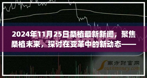 變革中的新動(dòng)態(tài)，聚焦桑植未來——2024年11月25日桑植最新新聞視角