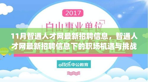 11月智通人才網(wǎng)最新招聘信息，職場機(jī)遇與挑戰(zhàn)一覽