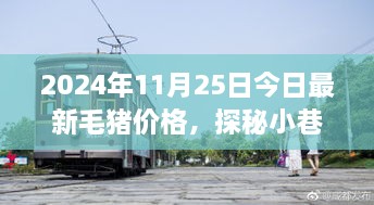 毛豬價格揭秘與小巷特色小店的幕后故事，2024年最新資訊，今日探秘之旅