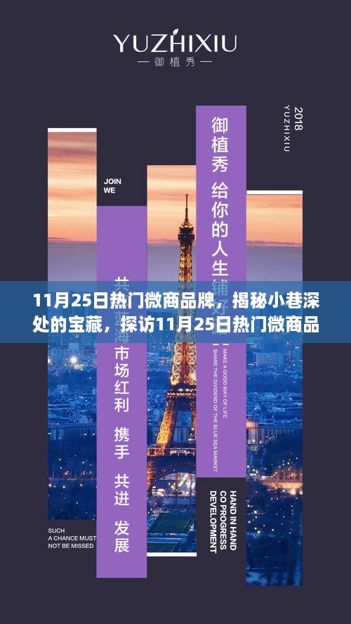 探訪某巷特色小店，揭秘熱門微商品牌寶藏之旅（11月25日熱門推薦）