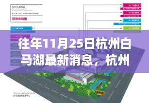 往年11月25日杭州白馬湖最新消息，杭州白馬湖，十一月二十五日的最新篇章