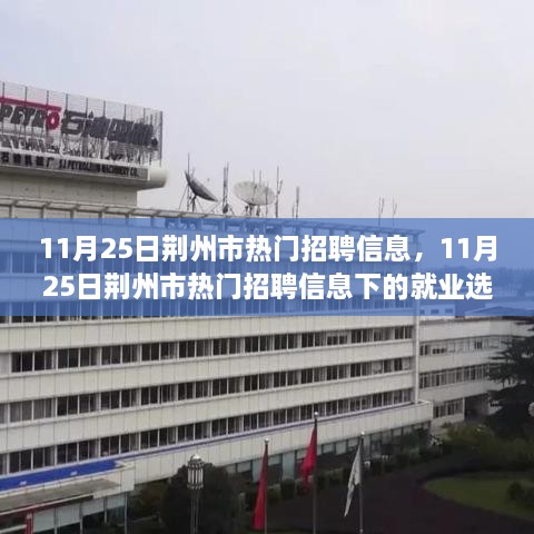 11月25日荊州市熱門(mén)招聘信息，11月25日荊州市熱門(mén)招聘信息下的就業(yè)選擇，機(jī)遇與挑戰(zhàn)并存