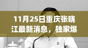 重慶張曉江最新動態(tài)揭秘，11月25日獨(dú)家爆料，瞬間驚艷！