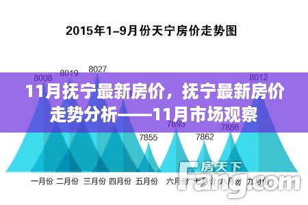 撫寧最新房價動態(tài)及走勢分析，11月市場觀察報告