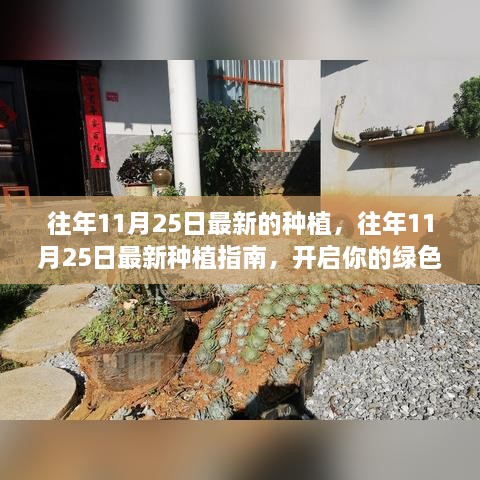 往年11月25日最新的種植，往年11月25日最新種植指南，開(kāi)啟你的綠色生活之旅