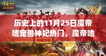 魔帝嗜寵獸神妃，深度測(cè)評(píng)與介紹——?dú)v史上的11月25日熱門話題