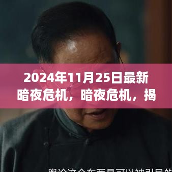 揭秘，2024年11月25日暗夜危機(jī)的背后故事與影響揭秘