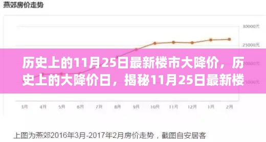 歷史上的11月25日最新樓市大降價，歷史上的大降價日，揭秘11月25日最新樓市降價真相