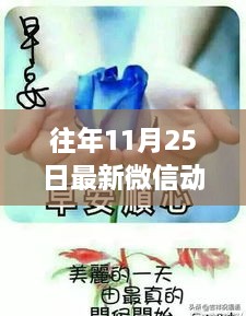 往年11月25日精選微信動態(tài)圖片匯總，最新圖片概覽