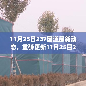 11月25日237國道最新動態(tài)全解析，路況、施工及出行指南