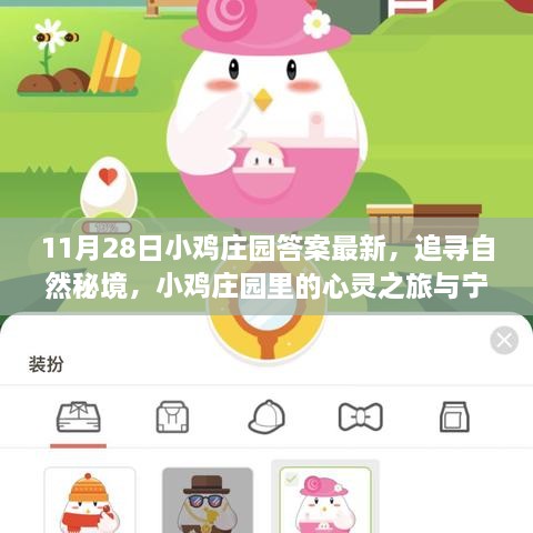 11月28日小雞莊園答案最新，追尋自然秘境，小雞莊園里的心靈之旅與寧靜的擁抱