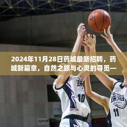 2024年11月28日藥城最新招聘，藥城新篇章，自然之旅與心靈的尋覓——2024年11月28日招聘之旅啟程啦！