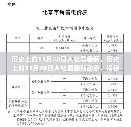 揭秘歷史上的11月28日人社局最新動態(tài)，改變未來的重要時(shí)刻回顧