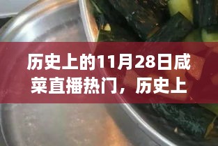 歷史上的11月28日咸菜直播熱門，歷史上的11月28日，見證咸菜直播熱門高科技產(chǎn)品的誕生與革新