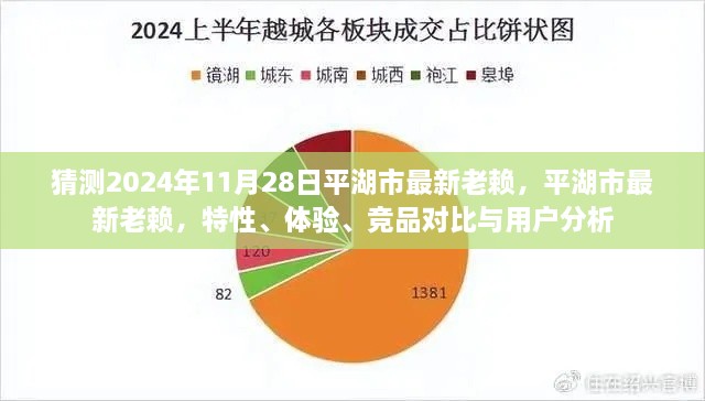 平湖市最新失信人員解析，特性、體驗(yàn)、競(jìng)品對(duì)比與用戶洞察（預(yù)測(cè)至2024年11月）