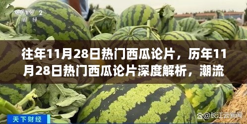 歷年11月28日熱門(mén)西瓜論片深度解析與潮流背后的故事探究