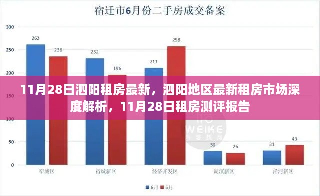 泗陽地區(qū)最新租房市場深度解析及測評(píng)報(bào)告（11月28日版）