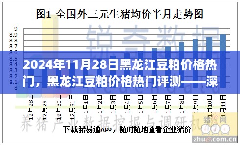 黑龍江豆粕價(jià)格熱門解析，深度剖析豆粕特性、用戶體驗(yàn)與目標(biāo)用戶群體分析報(bào)告