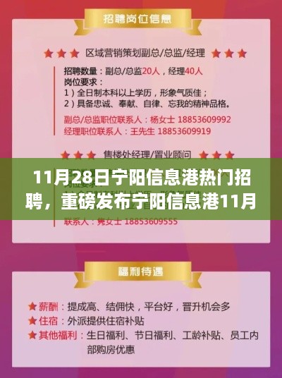 寧陽信息港11月28日熱門招聘，科技新品引領智能未來，生活新潮流觸手可及