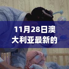 11月28日澳大利亞最新的政策，澳大利亞新政策啟航日，變化中的學(xué)習(xí)，自信與成就感的源泉