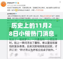 歷史上的11月28日，小催熱門消息回顧