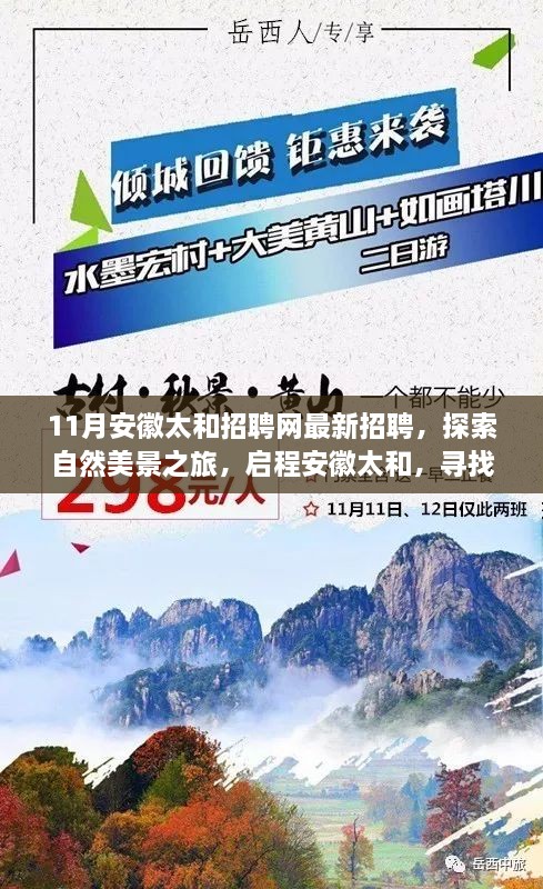 安徽太和最新招聘啟幕，探索自然美景之旅，啟程尋找內(nèi)心寧?kù)o與和諧