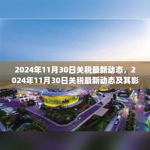 深度解析，2024年11月30日關(guān)稅最新動(dòng)態(tài)及其全球影響