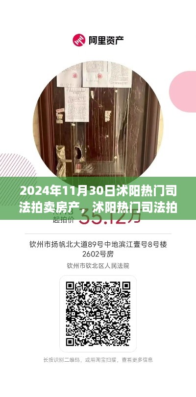 2024年11月30日沭陽熱門司法拍賣房產(chǎn)搶拍指南，最新房源大揭秘