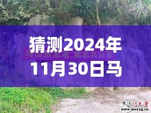 揭秘未來(lái)，馬山縣石豐村2024年11月30日最新動(dòng)態(tài)展望指南