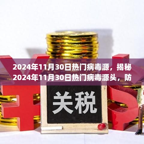 揭秘，2024年11月30日熱門病毒源頭揭秘及防范應(yīng)對之策