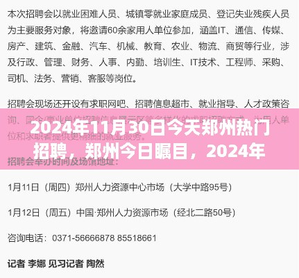 鄭州今日矚目，回顧2024年11月30日熱門招聘盛況