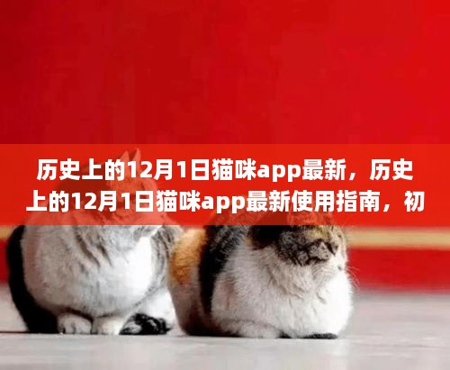 歷史上的12月1日貓咪app最新，歷史上的12月1日貓咪app最新使用指南，初學(xué)者與進(jìn)階用戶的全面教程