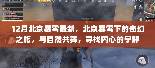 北京暴雪下的奇幻之旅，與自然共舞，探尋內(nèi)心寧?kù)o的旅程